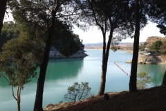 2896 9-11 lake through trees