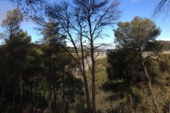 2903 9-11 bridge through trees