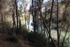 2906 9-11 river through trees