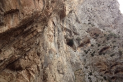 2922 9-11 cliffs