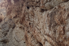 2924 9-11 cliffs
