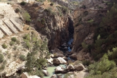 2933 9-11 rocky river
