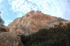 2936 9-11 clifftop and birds