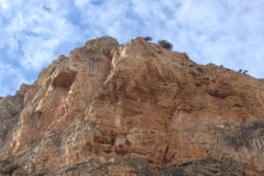 2937 9-11 clifftop and birds