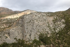 2947 9-11 cliffs and trees