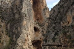 2948 9-11 cliffs and trees
