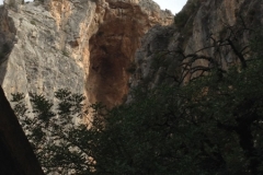 2949 9-11 cliffs and trees