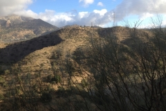 3014 10 -11 morning view