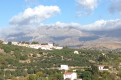3028 10 -11 view