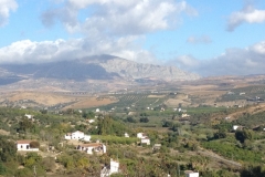 3029 10 -11 view