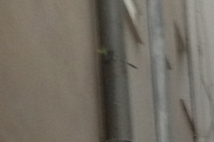 3427 21-11 arrow in drainpipe