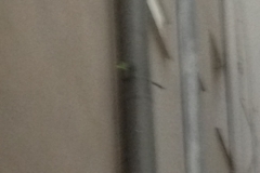 3428 21-11 arrow in drainpipe