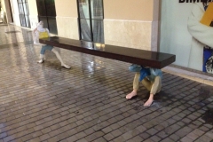 3443 21-11 Bench