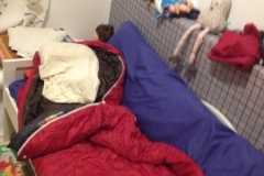 3499 22-11 bed in playroom