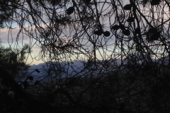 3546 24-11 view