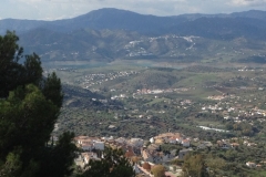 3549 24-11 view