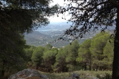 3552 24-11 view