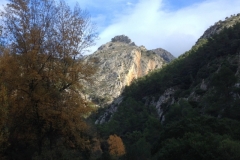 3561 24-11 view