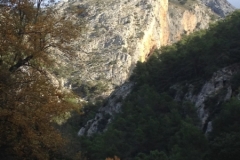 3563 24-11 view