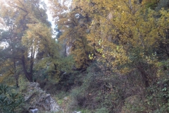 3565 24-11 view