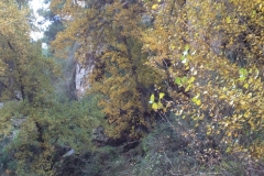 3566 24-11 view