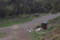 3568 24-11 picnic spot