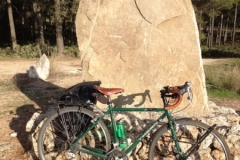 3596 24-11 bike