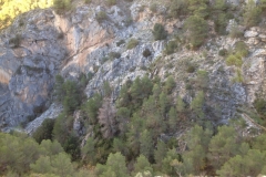 3612 24-11 cliff
