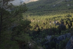 3613 24-11 view