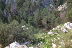 3615 24-11 gully