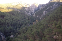 3617 24-11 view