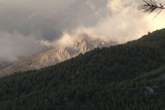 3618 24-11 view