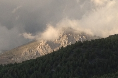 3619 24-11 view