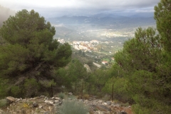3648 25-11 view