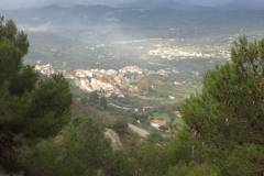 3649 25-11 view