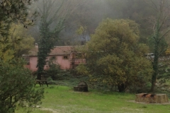 3673 27-11 garden