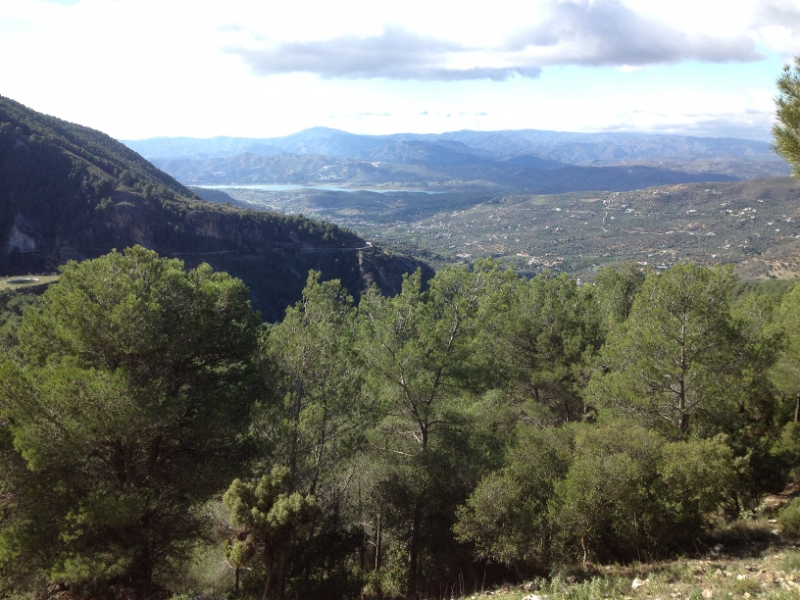 3691 28-11 view