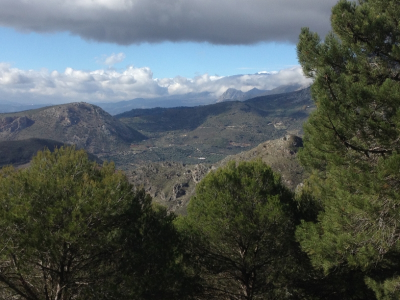 3692 28-11 view