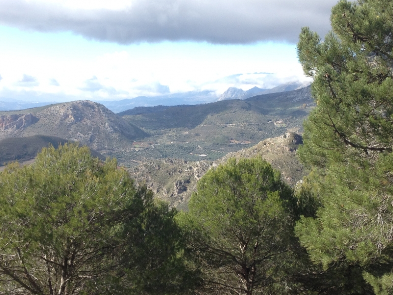 3693 28-11 view