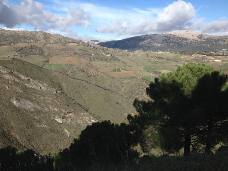 3694 28-11 view