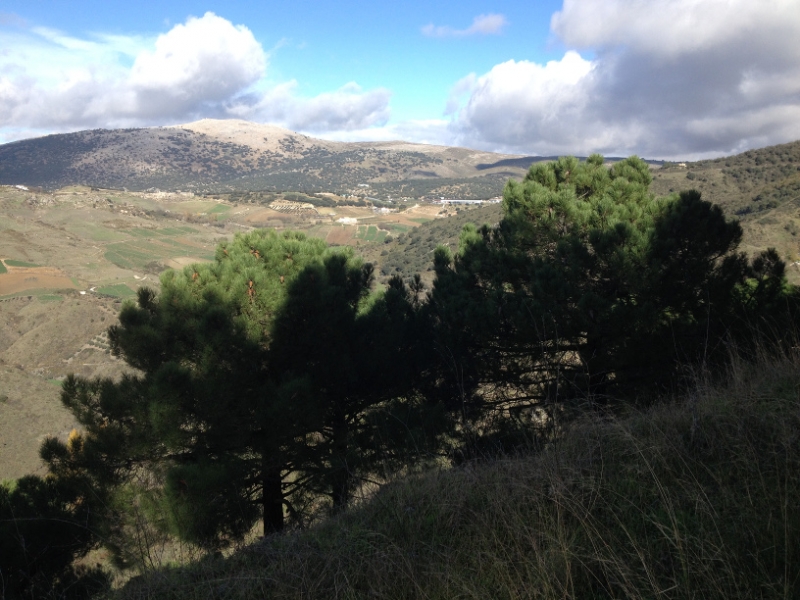 3695 28-11 view
