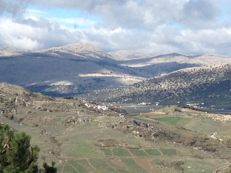 3696 28-11 view