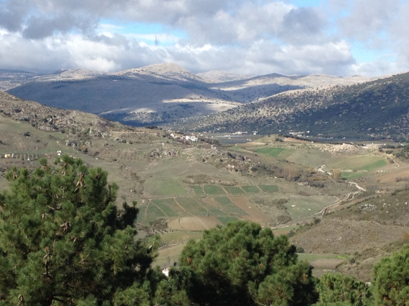 3697 28-11 view