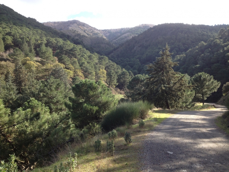 3698 28-11 view