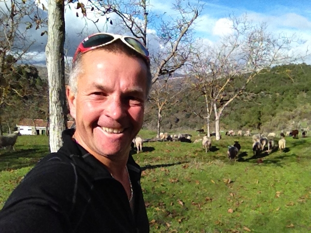 3707 28-11 Brian and sheep