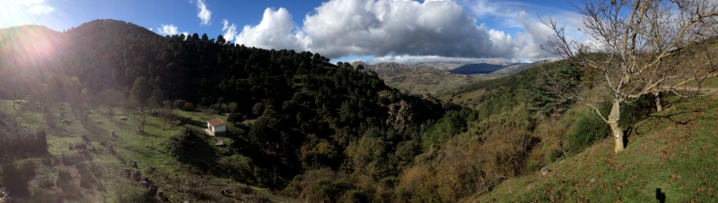 3711 28-11 Panorama