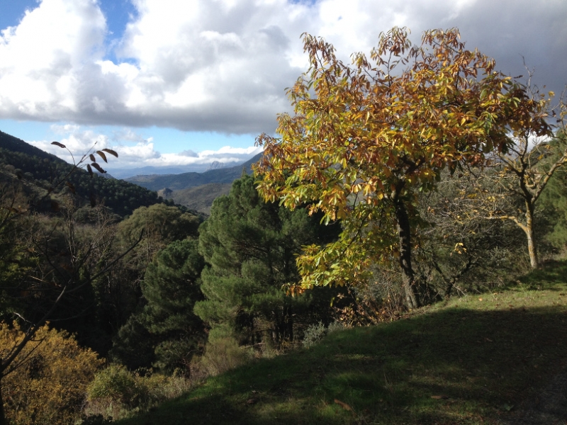 3712 28-11 view