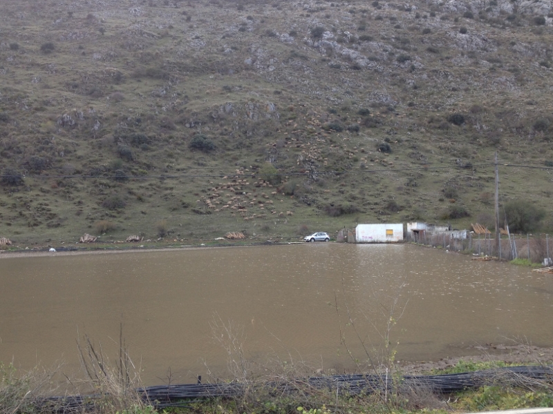 3727 28-11 muddy water