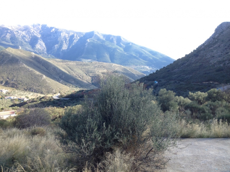 3743 28-11 view