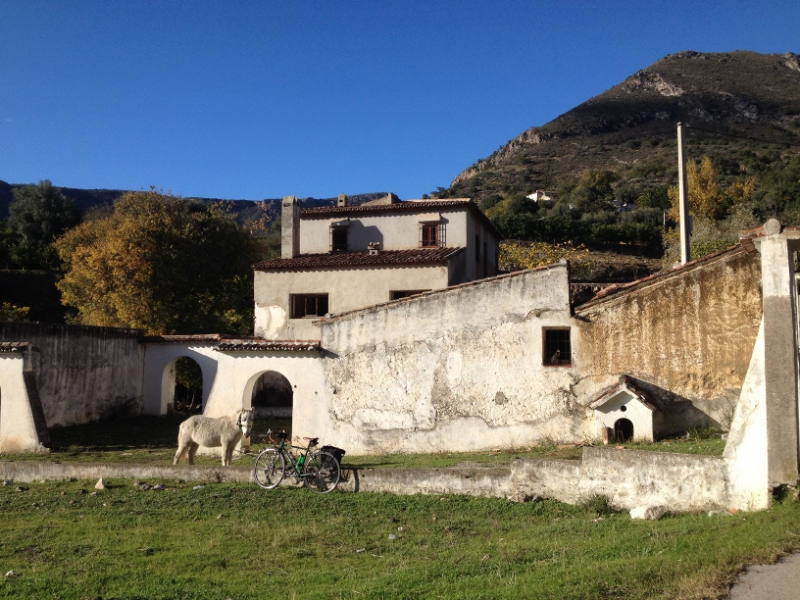 3769 28-11 horse & house